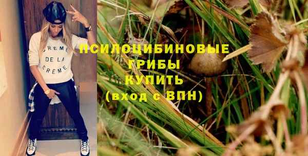 сатива Медногорск