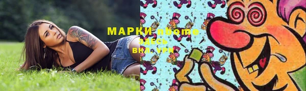 сатива Медногорск