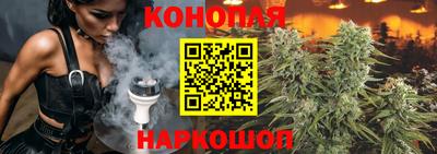 прущий лед Будённовск