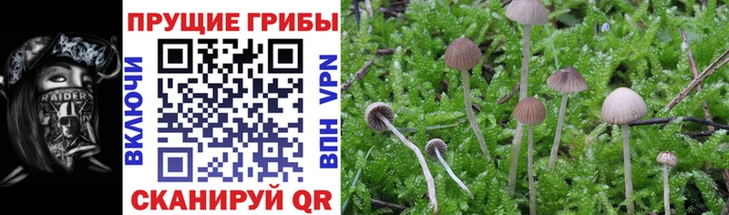 Псилоцибиновые грибы мухоморы  ссылка на мегу   Гагарин 
