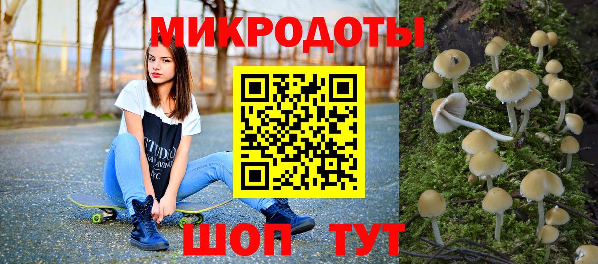 Галлюциногенные грибы Cubensis Гагарин