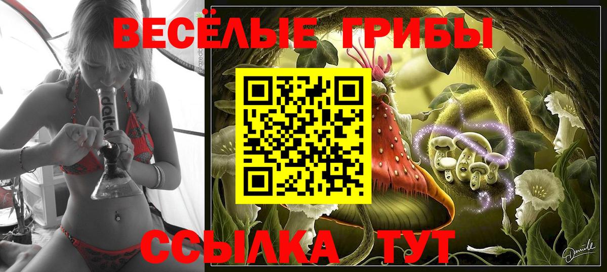 Галлюциногенные грибы мицелий Гагарин