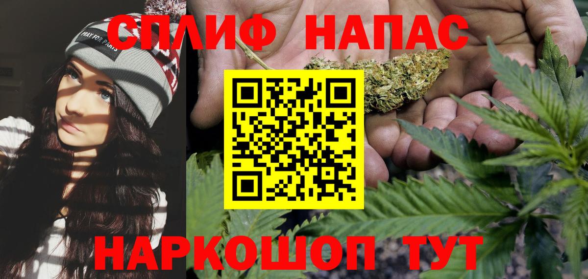 Бошки марихуана гибрид Гагарин